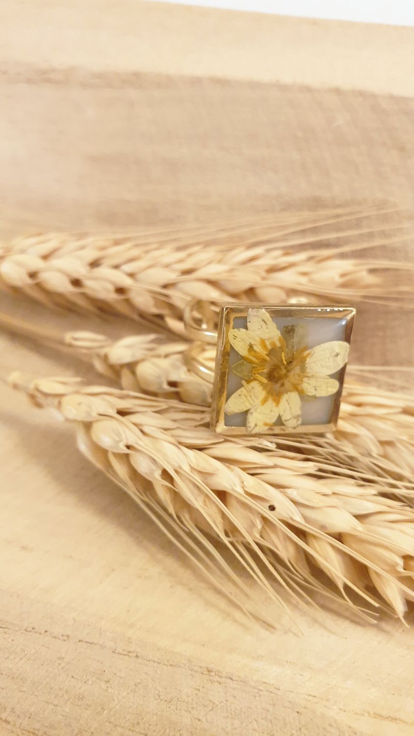 anello 8