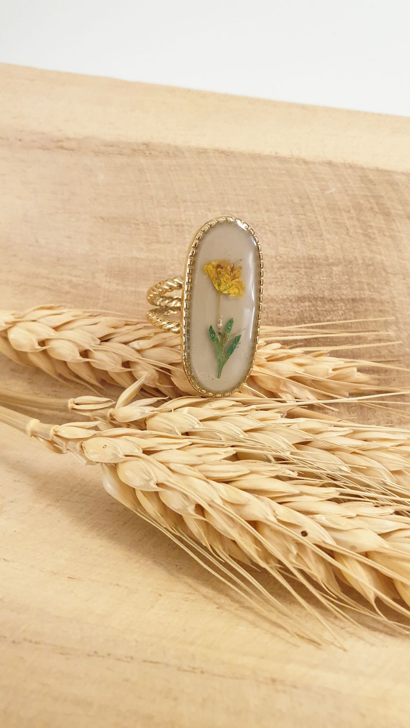 anello 10