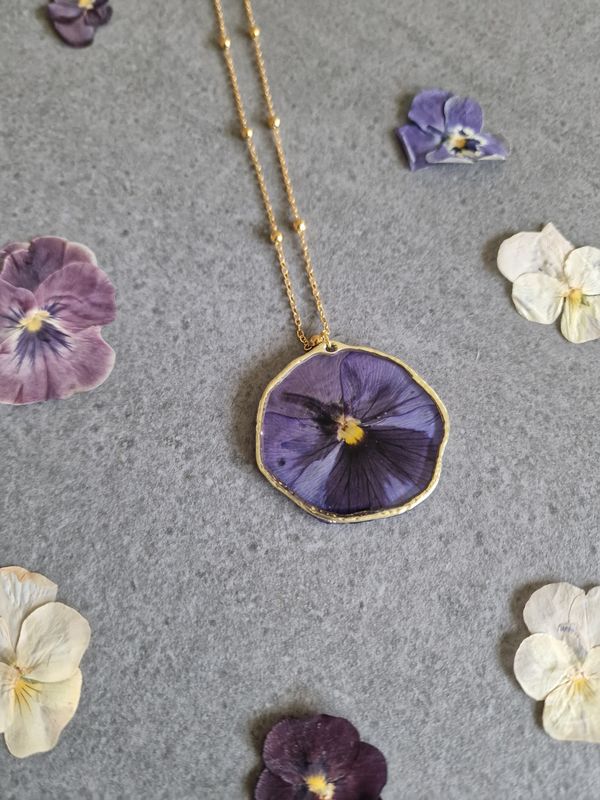 Viola del pensiero grande