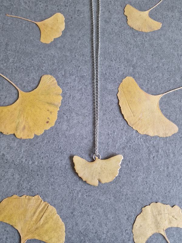 Gingko biloba semplice 