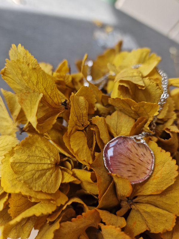 Petalo di croco rosa rotondo