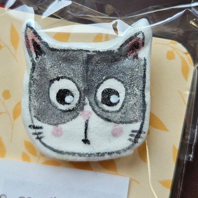 Spilla gatto cartapesta  890