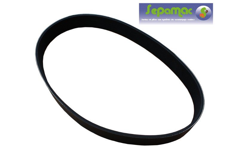 Courroie poly-V 12 gorges Pour lamier gamme 650 COUP ECO