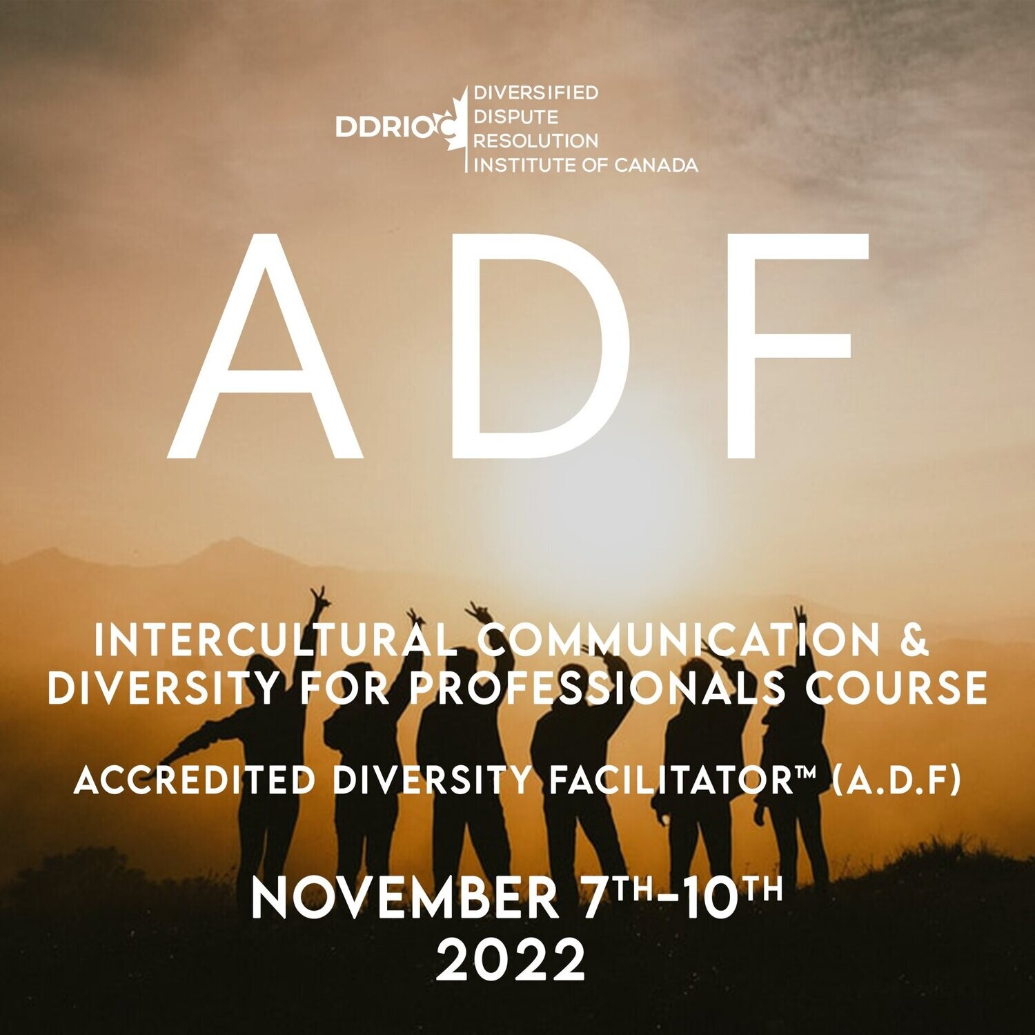 Intercultural Communication & Diversity for Professionals Course - Accredited Diversity Facilitator (A.D.F) Certification (7th November - 10th November, 2022)