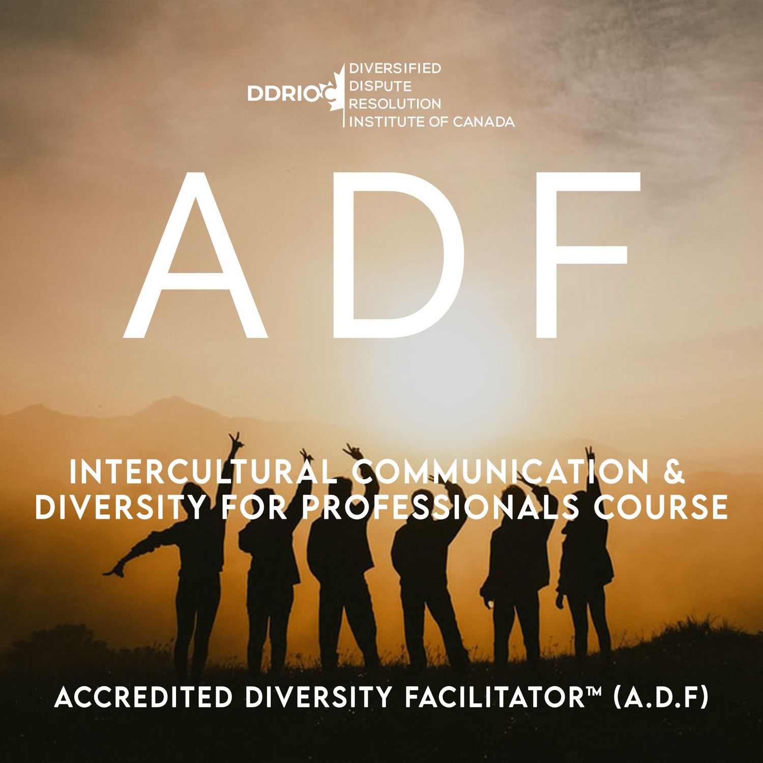 Intercultural Communication & Diversity for Professionals Course - Accredited Diversity Facilitator (A.D.F) Certification