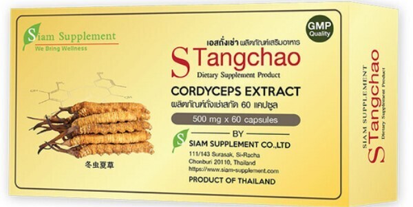 S Tangchao (Cordyceps)ရှီးပဒီးအားဆေး