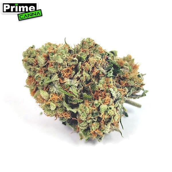 Grow Triangle Kush in San Diego - Legal