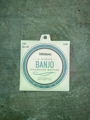D'Addario Banjo Phosphor Bronze Light Ball End EJ69B Strings