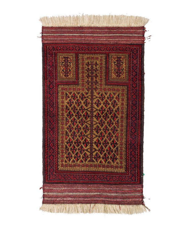 Traditional Persia 3 x 5 Rug