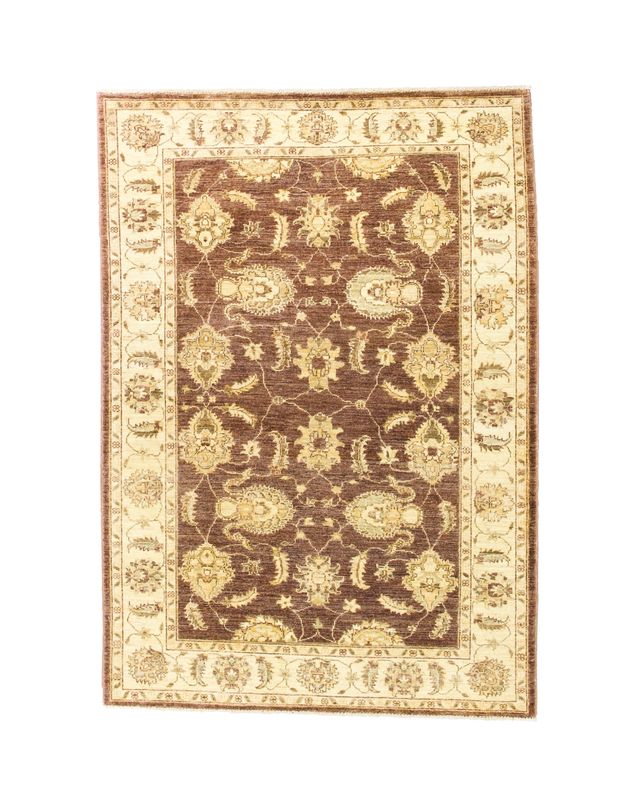 Traditional Pakistan 4 x 6 Rug