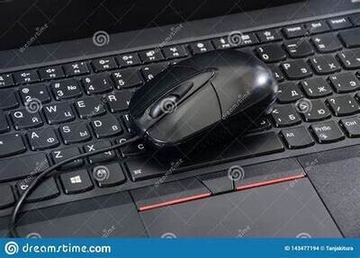 Mouse &amp; Keyboard