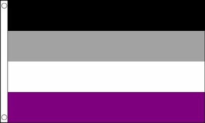 Asexual Flag (3ft x 5ft)
