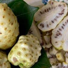 Noni Fruit Pack of 6