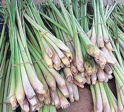 Lemon Grass 1lb. Bulk Bag