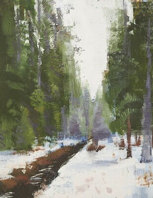 Andrew Walker Patterson- Near Nora Lake ,Shingletown - 14x11- Oil on Canvas Panel