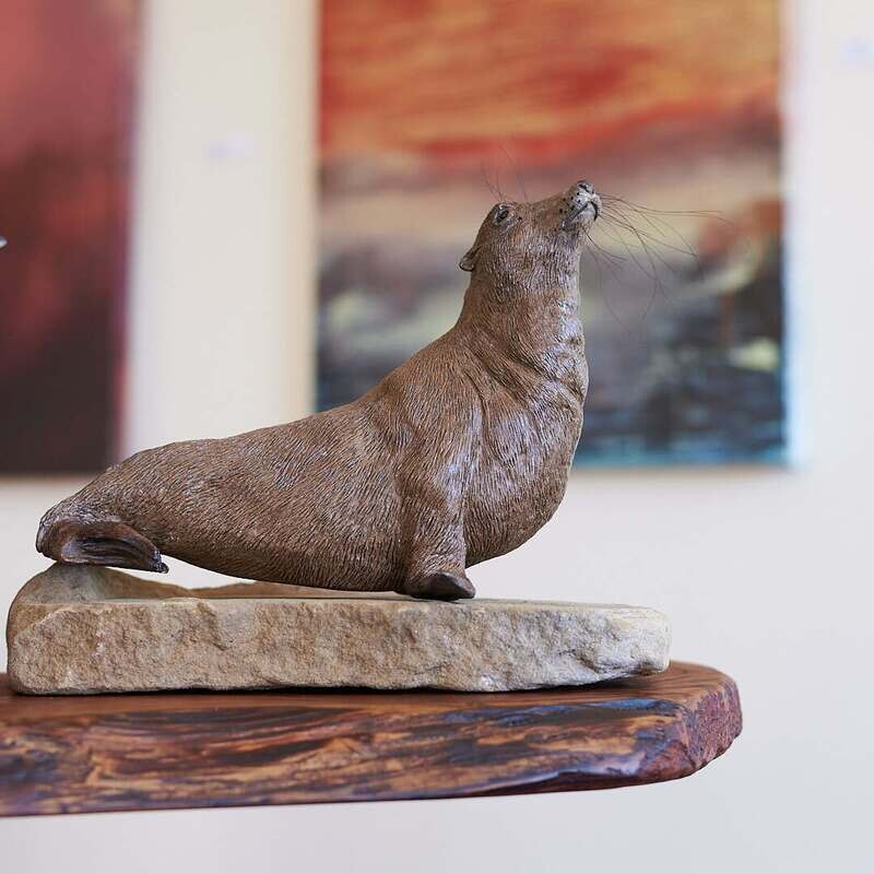 Kristin Gordon - Sea Lion