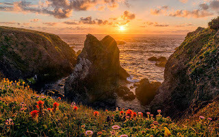 Jon Klein - Wildflowers at Jug Handle - Stretched Canvas Print - 31x21