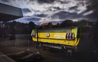 Bojh Parker " Yellow Mustang" 20x28 inch mounted on ACM