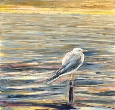 Elizabeth Gorek - Seagull -54×54 oil on wood panel