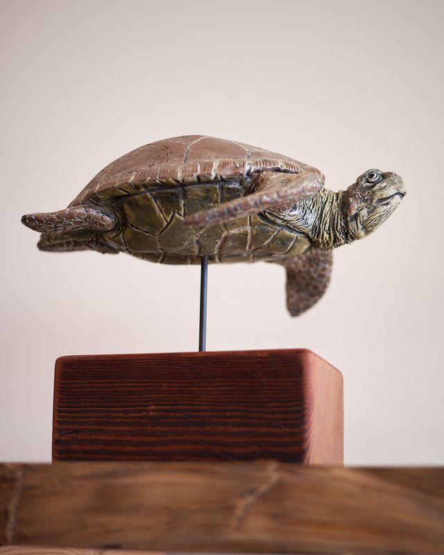 Kristin Gordon, Sea Turtle
