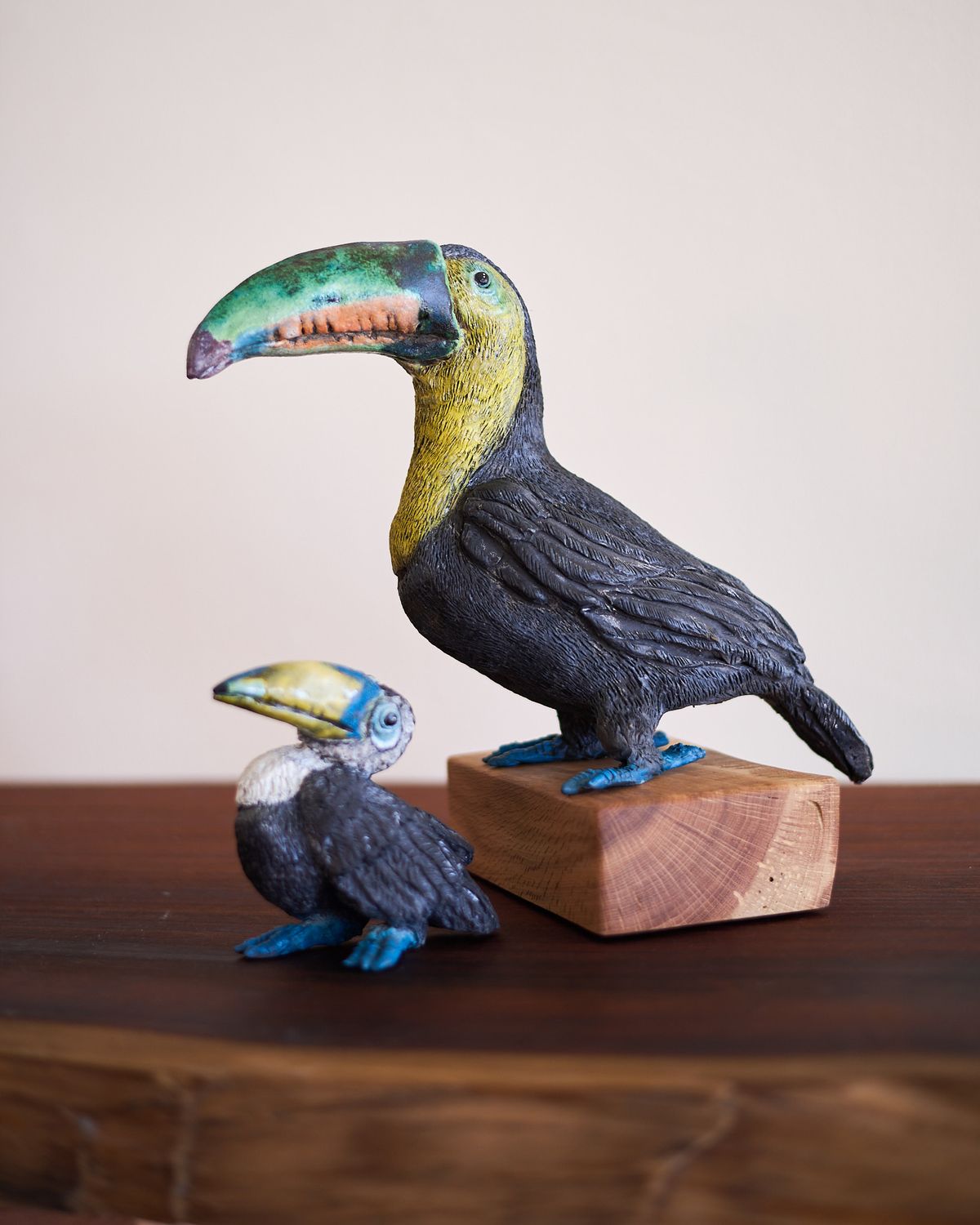 Kristin Gordon, Toucan (momma & chick)