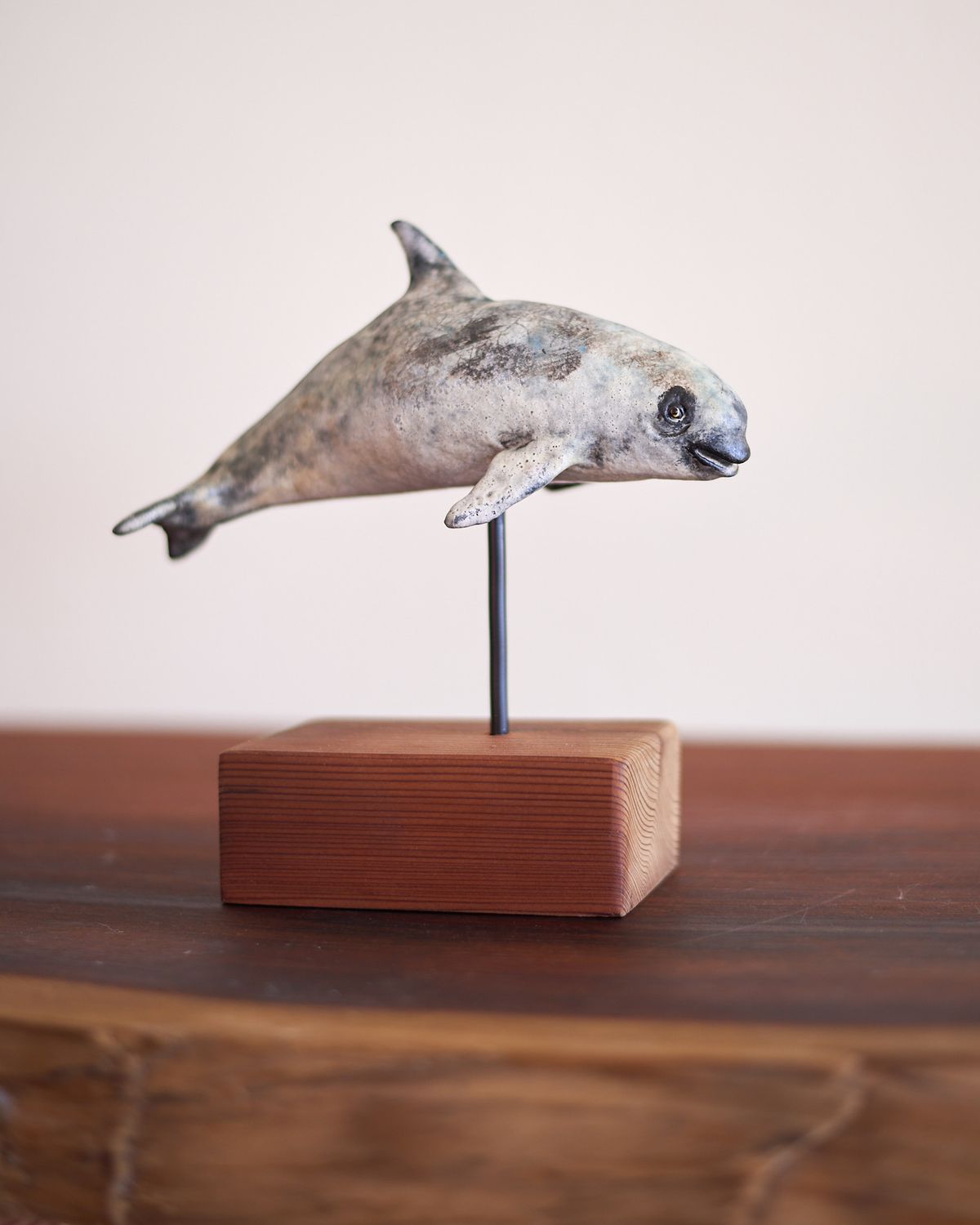 Kristin Gordon, Vaquita