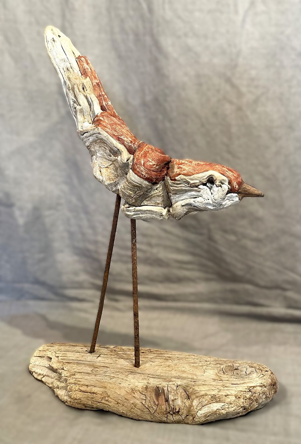 Alan Cohen - Towhee A094