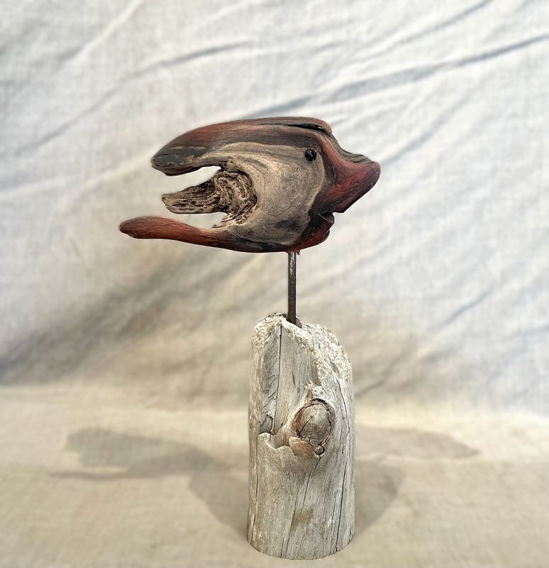 Alan Cohen - CO75 Angel Fish 1