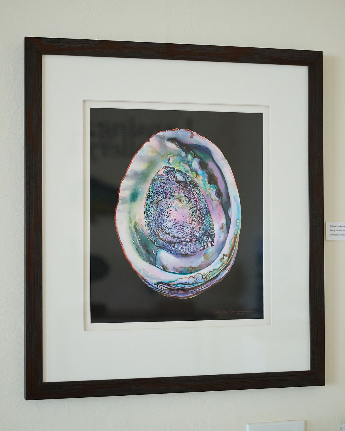Kathleen Alexander, Randy Saufferer Abalone watercolor 27 X 24 framed