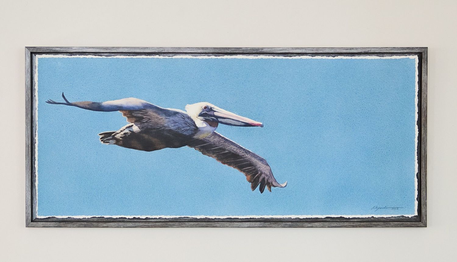 Kathleen Alexander, Pelican IV, 16"X38" watercolor with cold wax medium
