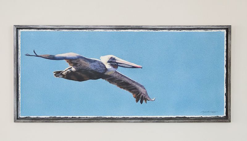 Kathleen Alexander, Pelican IV, 16"X38" watercolor with cold wax medium