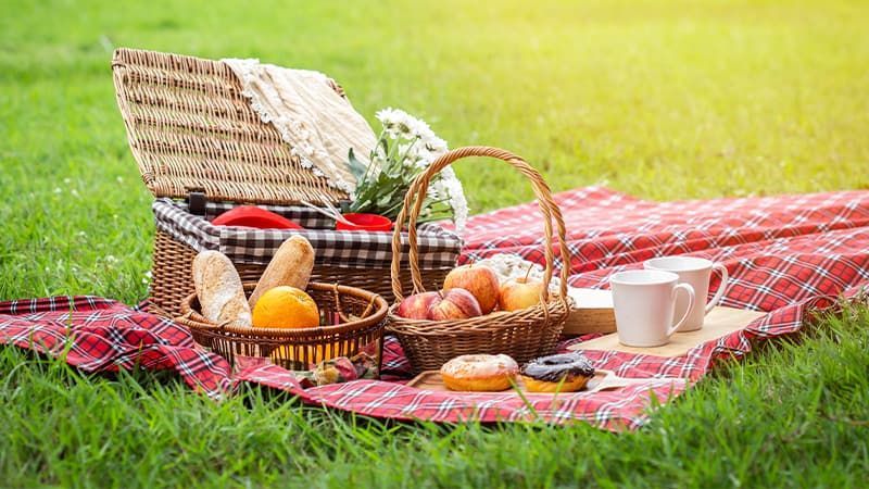 Summer Social
