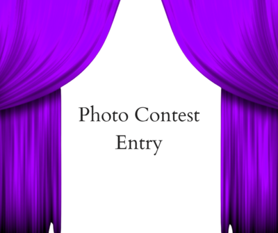 Photo Contest