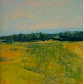 Heather Pilchard
