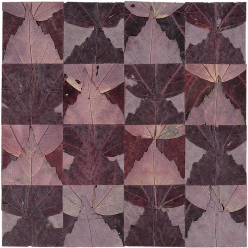 Sixteen Leaves, Sliced and Folded