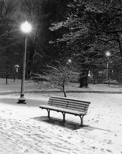Winter Garden Park Bench, Boston Public Garden