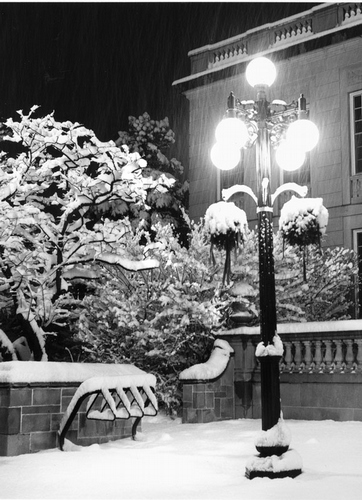 Winter Night, Arlington Town Hall