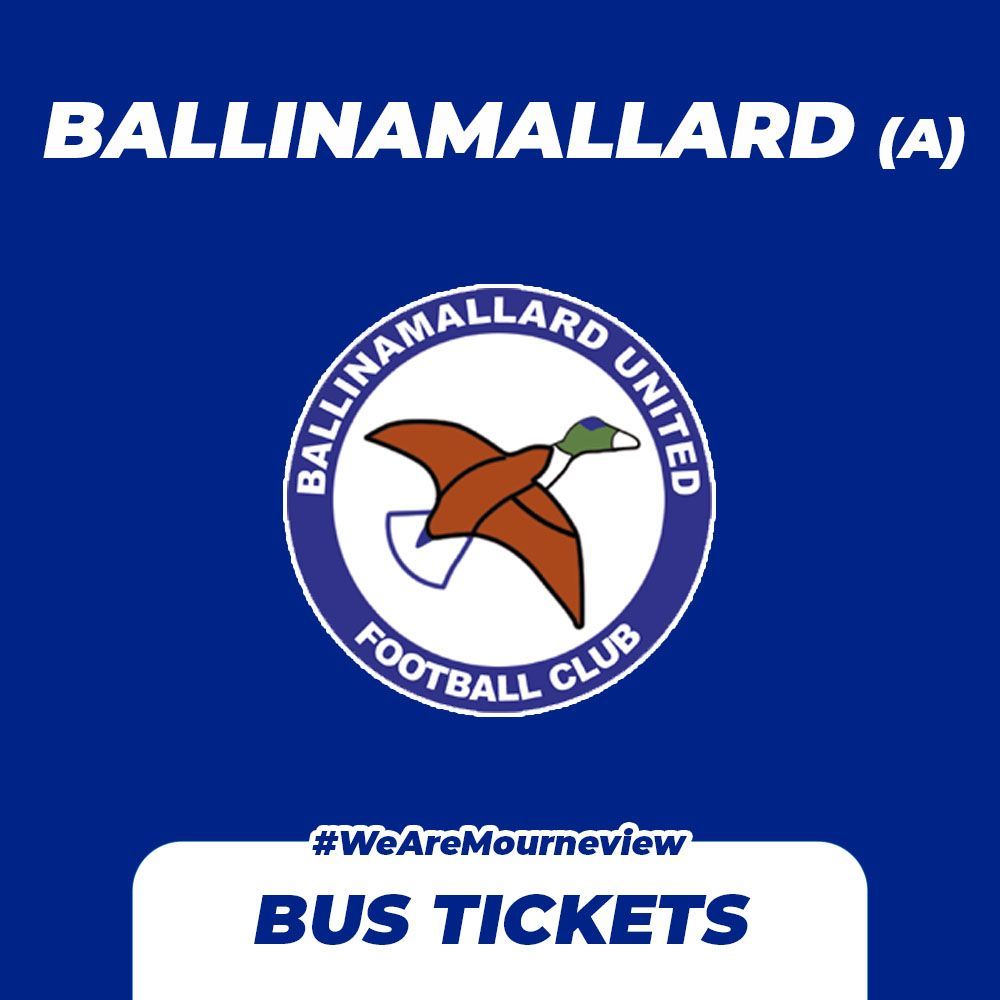 Bus Ticket (Ballinamallard)