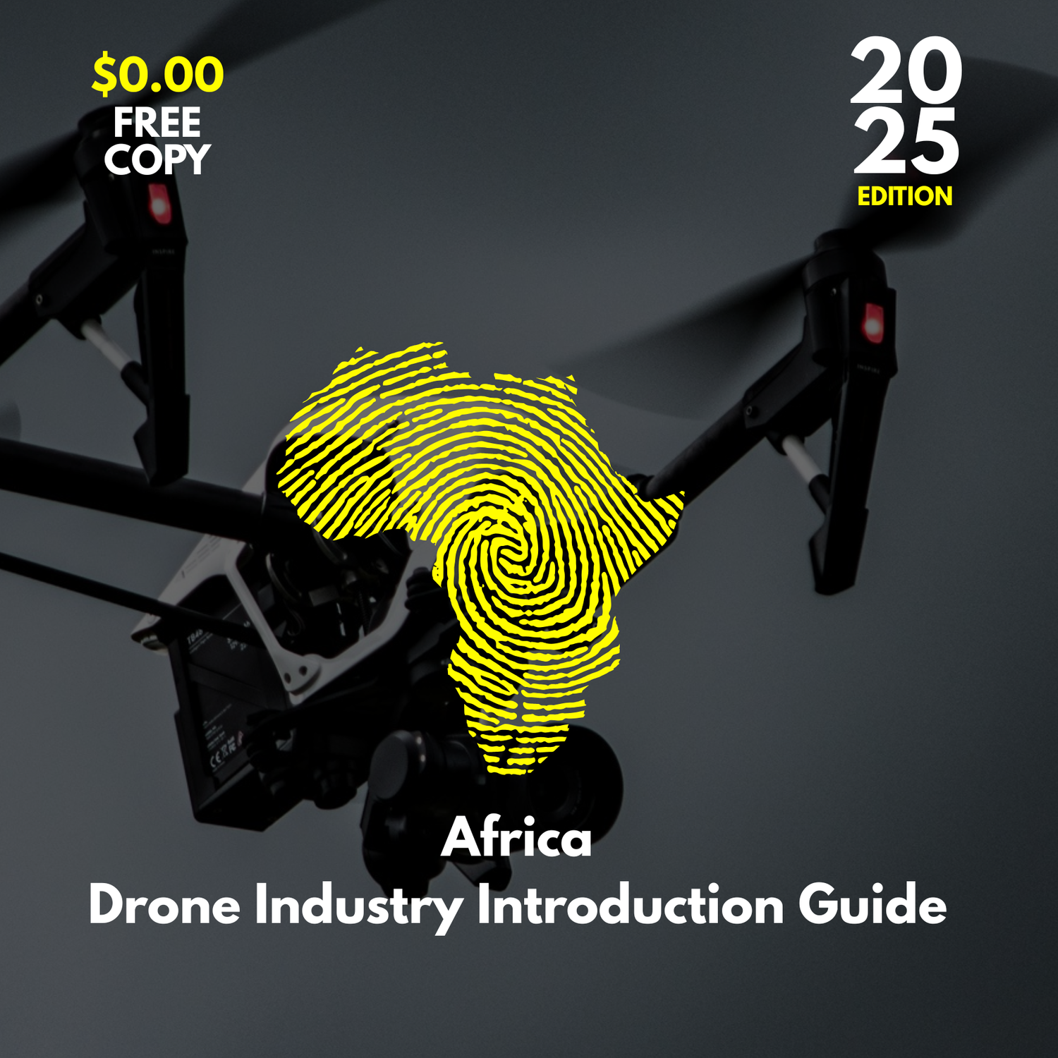 Africa Drone Industry Introduction Guide