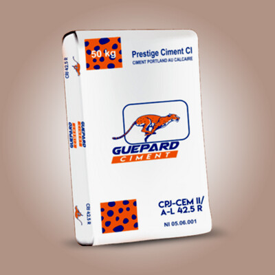 CIMENT GUEPARD CPJ 42.5 N