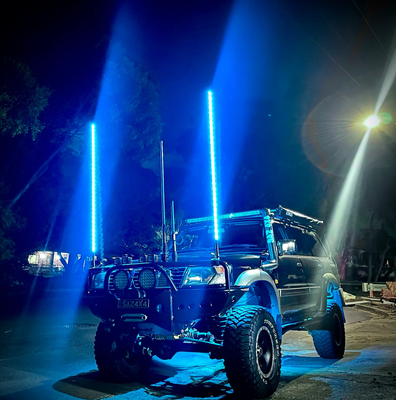 Whips and Flags