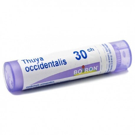 Thuya Occidentalis 30ch Granuli - Boiron