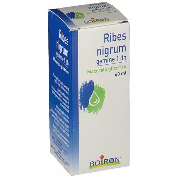 Ribes Nigrum Gemme 1 dh - 60ml - Boiron