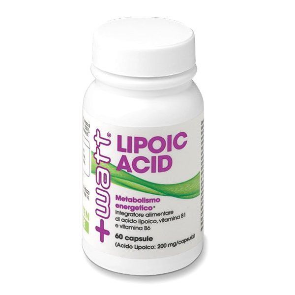 Lipoic Acid - 60 Capsule