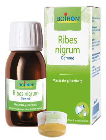 RIBES NIGRUM BOIRON MACERATO GLICERICO 60 ML