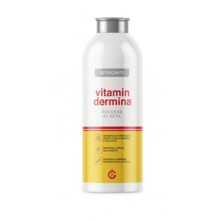 VITAMINDERMINA POLVERE DI SETA 100 G NUOVA FORMULA