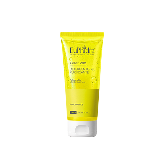 EUPHIDRA SEBANORM DETERGENTE GEL PURIFICANTE 100 ML