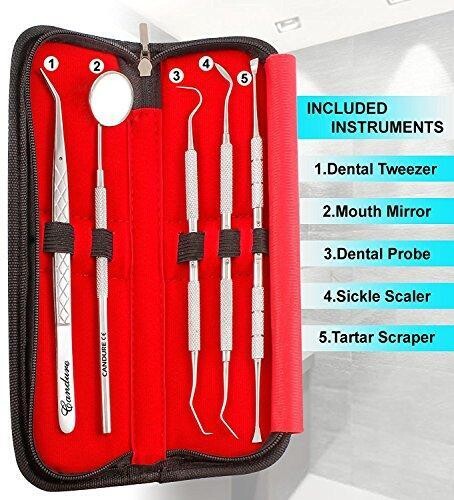 Dental Tools 5 Piece Kit