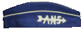 ANS Hat
