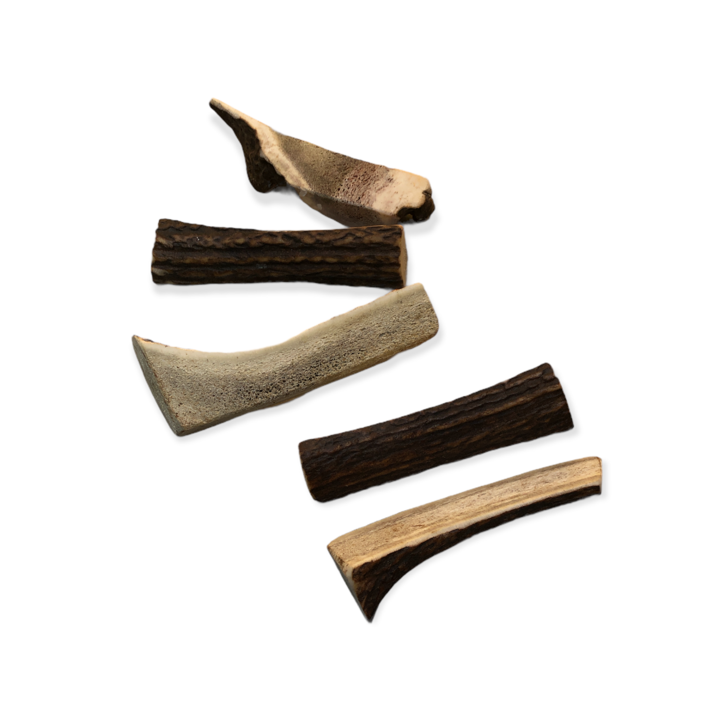 Small Split Antlers
